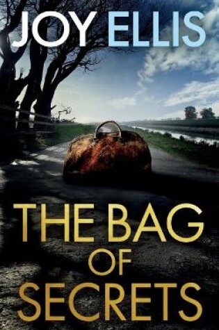Cover of THE BAG OF SECRETS a gripping crime thriller with a huge twist