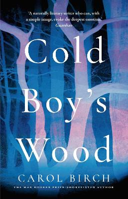 Book cover for Cold Boy's Wood