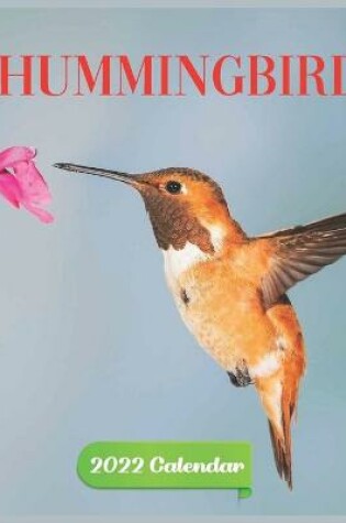 Cover of Calendar 2022 hummingbird