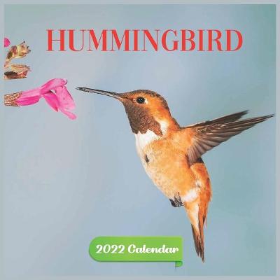 Book cover for Calendar 2022 hummingbird