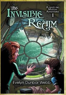 Cover of The Invisible Realm