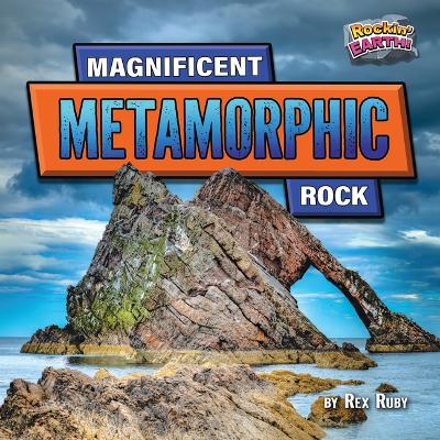 Book cover for Magnificent Metamorphic Rock