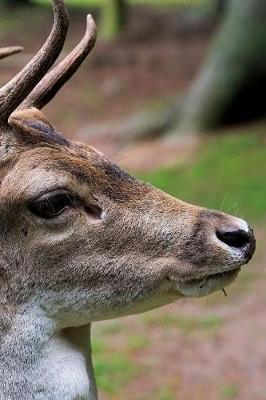 Book cover for Red Deer Notebook