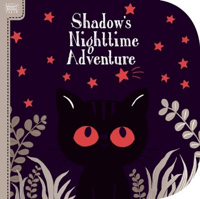 Book cover for Shadow's Nighttime Adventure