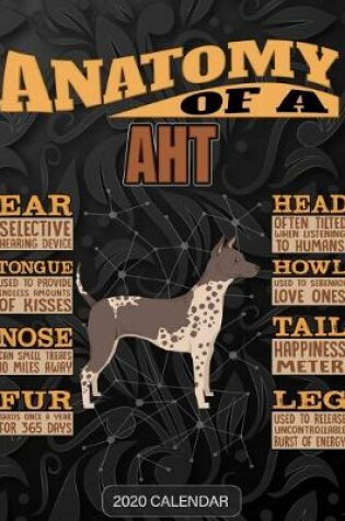 Cover of Anatomy Of A American Hairless Terrier