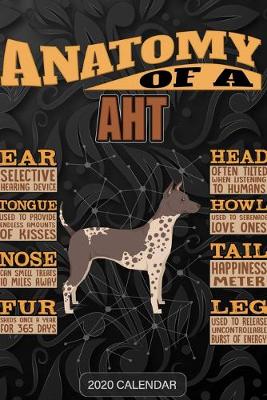 Book cover for Anatomy Of A American Hairless Terrier