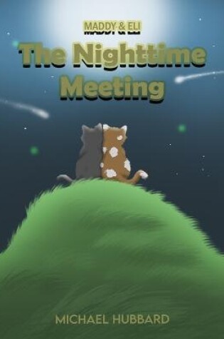 Cover of The Nighttime Meeting