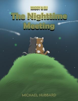 Book cover for The Nighttime Meeting