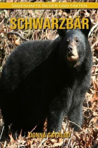 Cover of Schwarzbär