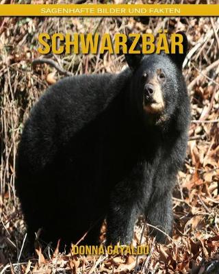 Book cover for Schwarzbär