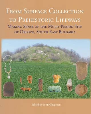 Book cover for From Surface Collection to Prehistoric Lifeways