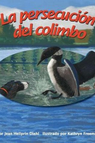 Cover of La Persecución del Colimbo (Loon Chase)