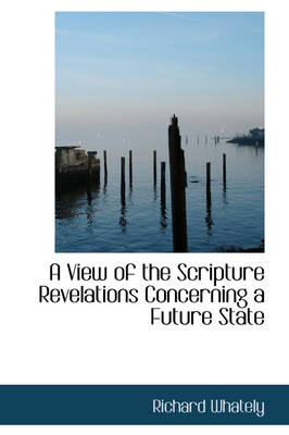 Book cover for A View of the Scripture Revelations Concerning a Future State