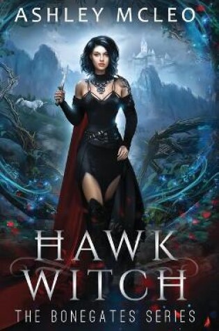 Cover of Hawk Witch