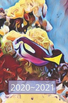 Book cover for Blue & Yellow Tropical Parrot Fish Lover Dated Weekly 2 year Calendar Planner
