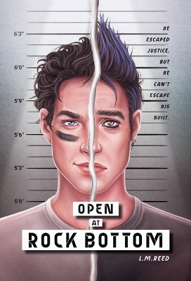 Book cover for Open at Rock Bottom