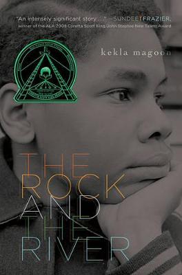 Book cover for The Rock and the River
