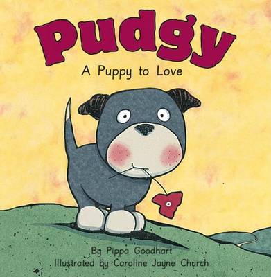 Book cover for Pudgy