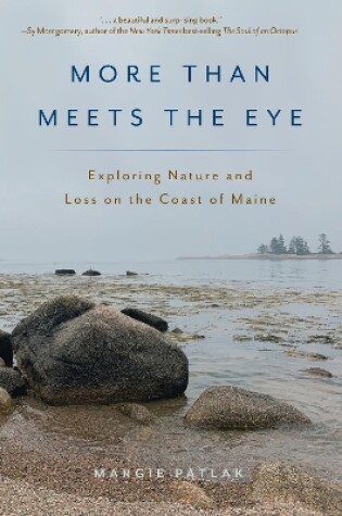 Cover of More Than Meets the Eye