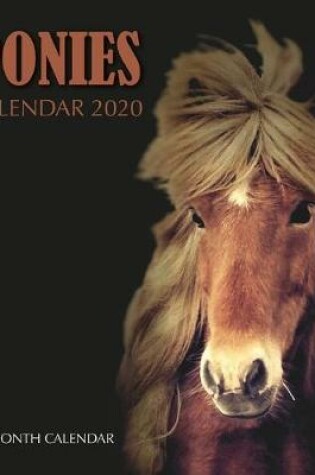 Cover of Ponies Calendar 2020