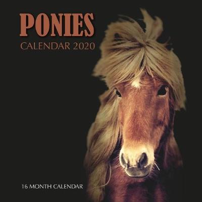 Book cover for Ponies Calendar 2020