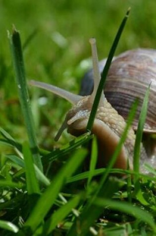 Cover of Snail Crawling Slowly Through the Grass Journal