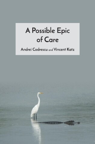 Cover of A Possible Epic of Care
