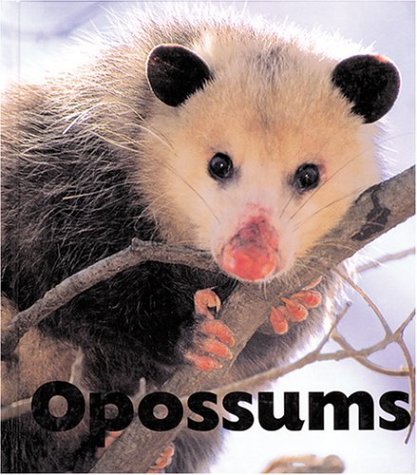 Cover of Opossums