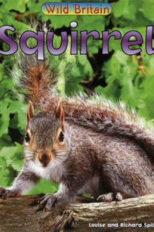 Cover of Wild Britain: Squirrel Big Book
