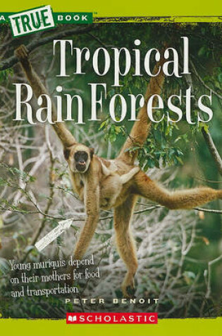 Cover of Tropical Rain Forests