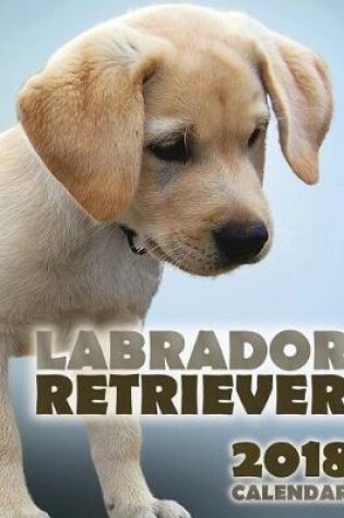 Cover of Labrador Retriever 2018 Calendar