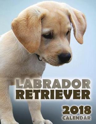 Book cover for Labrador Retriever 2018 Calendar