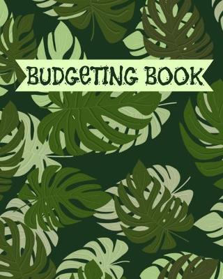 Book cover for Budgeting Book