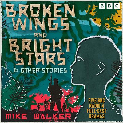 Book cover for Broken Wings and Bright Stars & other stories