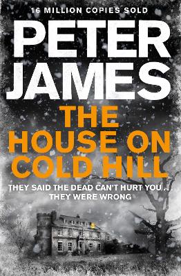 Book cover for The House on Cold Hill