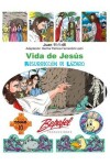 Book cover for Vida de Jesus-La resurreccion de Lazaro