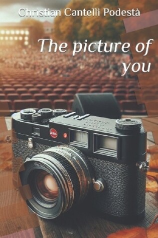 Cover of The picture of you