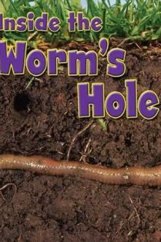Cover of Inside the Worm's Hole