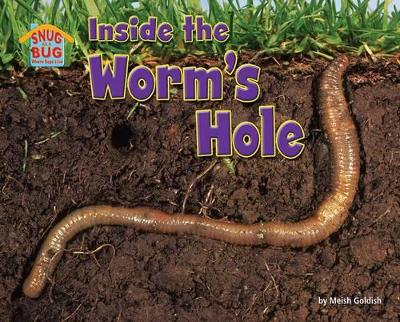 Cover of Inside the Worm's Hole