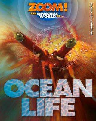 Book cover for Zoom! The Invisible World of Ocean Life