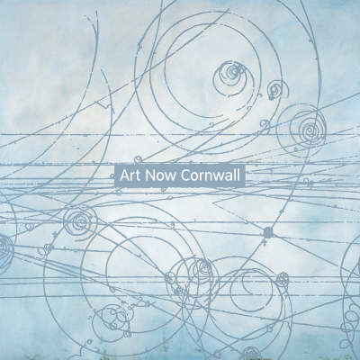 Book cover for Art Now Cornwall