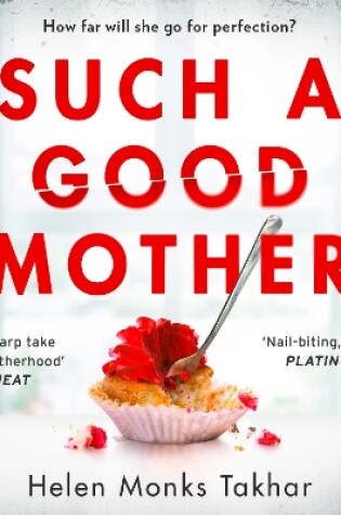 Cover of Such a Good Mother