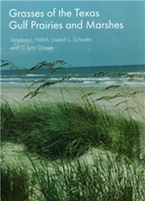 Book cover for Grasses of the Texas Gulf Prairies and Marshes Volume 24