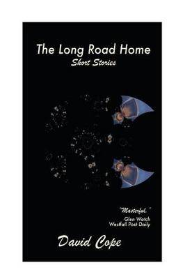 Book cover for The Long Road Home