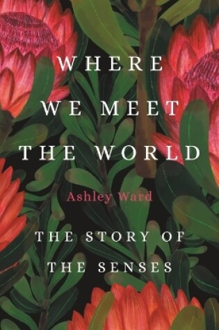 Cover of Where We Meet the World