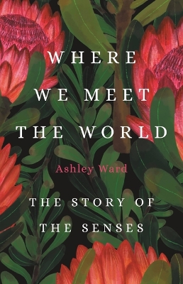 Book cover for Where We Meet the World