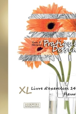 Cover of Pratique Dessin - XL Livre d'exercices 14