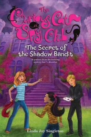 Cover of The Secret of the Shadow Bandit