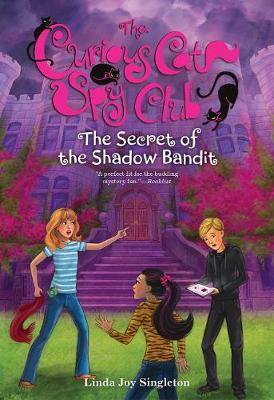 Book cover for The Secret of the Shadow Bandit