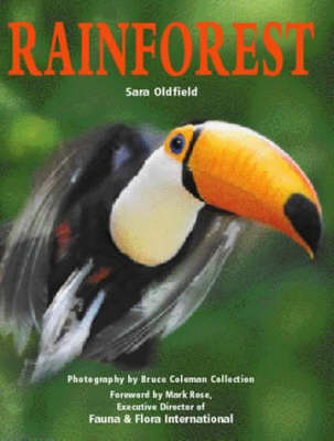 Book cover for Rainforest